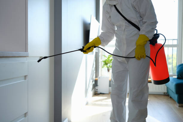Best Asbestos and Lead Testing During Mold Inspection  in Oral City, FL