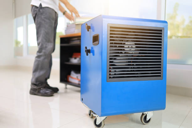 Best Mold-Related Health Consultation  in Oral City, FL