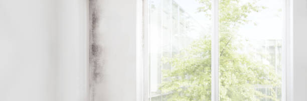 Best Indoor Air Quality Assessment  in Oral City, FL