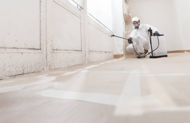 Best Mold Damage Restoration  in Oral City, FL